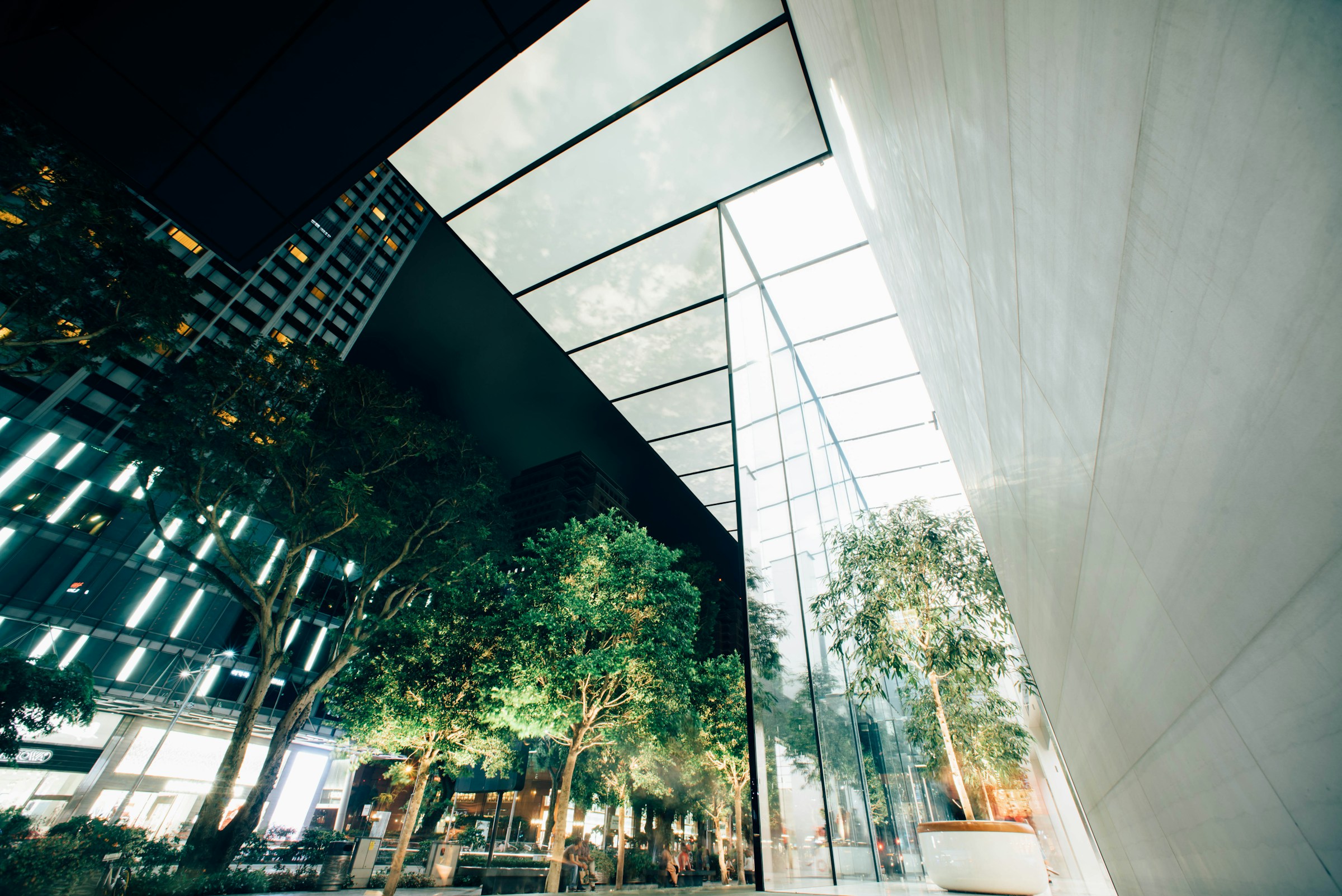 Catarina Martins shares with Expresso how to regenerate with architecture